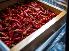 哪些花椒不宜放入冰箱储存?