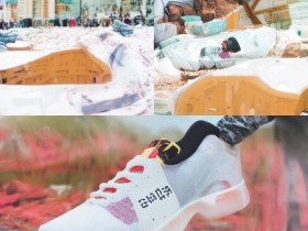 海尔冰箱线下款501全新上市,高品质体验不容错过