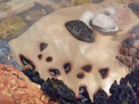 空调的风与风扇的风有何不同?揭秘空调和风扇的本质区别